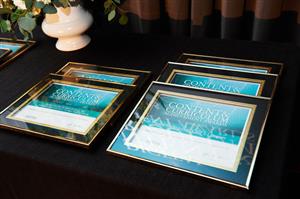 Digital Content and Curriculum Achievement Award 